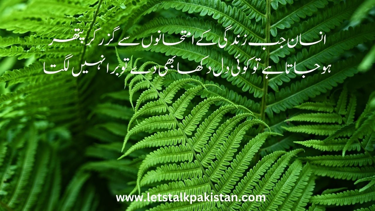 Best Life Quotes in Urdu