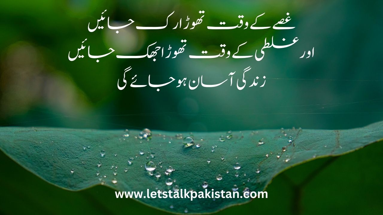 Best Life Quotes in Urdu